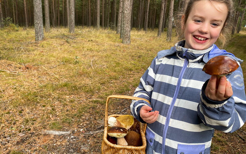 Naturens spisekammer